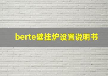 berte壁挂炉设置说明书