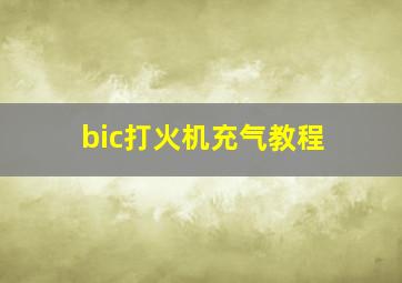 bic打火机充气教程