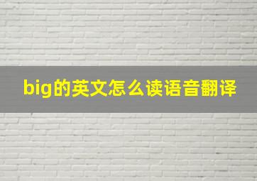 big的英文怎么读语音翻译