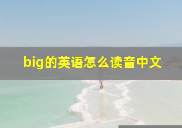 big的英语怎么读音中文