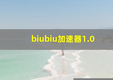 biubiu加速器1.0