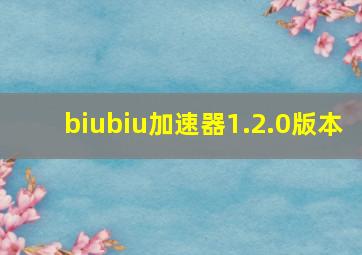 biubiu加速器1.2.0版本