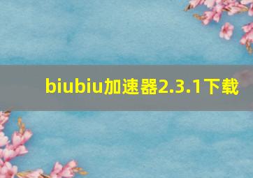 biubiu加速器2.3.1下载