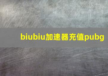 biubiu加速器充值pubg