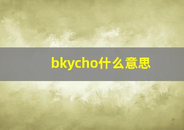 bkycho什么意思