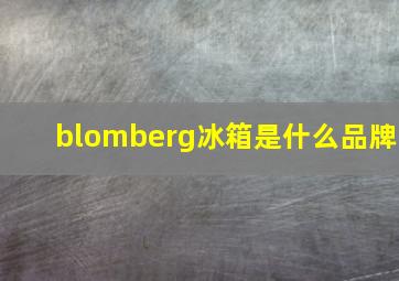 blomberg冰箱是什么品牌