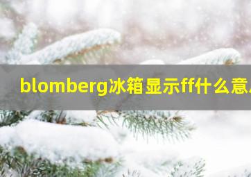 blomberg冰箱显示ff什么意思