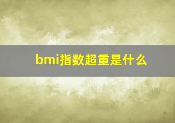 bmi指数超重是什么