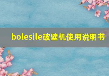 bolesile破壁机使用说明书