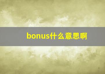 bonus什么意思啊