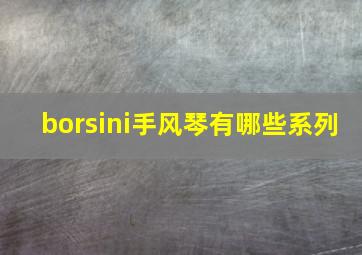 borsini手风琴有哪些系列