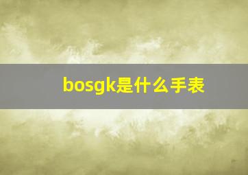 bosgk是什么手表