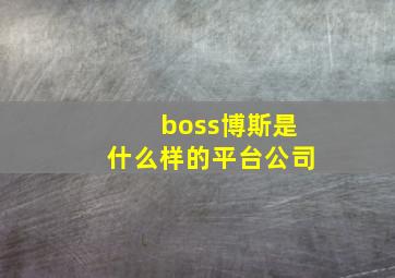 boss博斯是什么样的平台公司