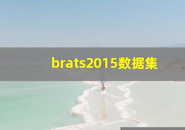 brats2015数据集