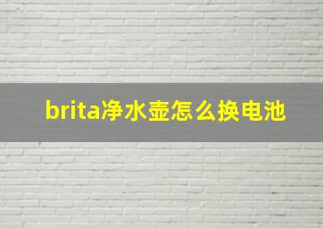 brita净水壶怎么换电池