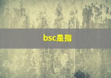 bsc是指