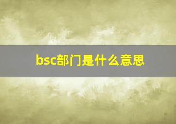 bsc部门是什么意思