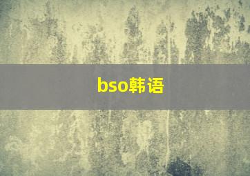 bso韩语