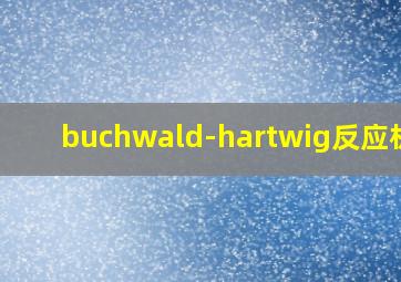 buchwald-hartwig反应机理