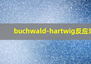 buchwald-hartwig反应溶剂