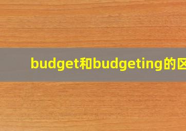 budget和budgeting的区别