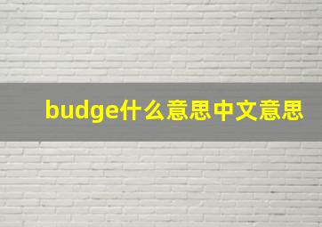 budge什么意思中文意思