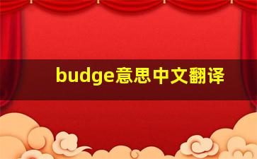 budge意思中文翻译