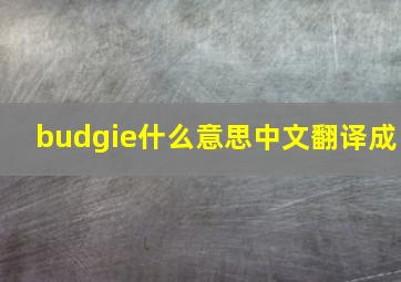 budgie什么意思中文翻译成