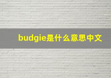 budgie是什么意思中文