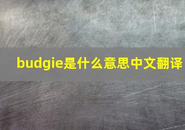 budgie是什么意思中文翻译