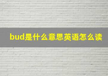 bud是什么意思英语怎么读