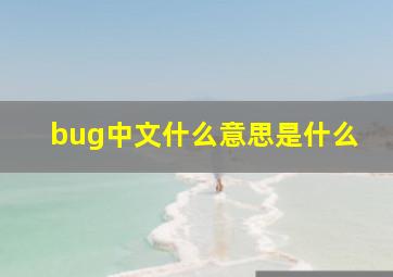 bug中文什么意思是什么