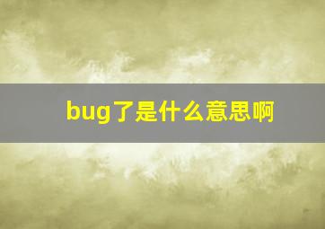 bug了是什么意思啊