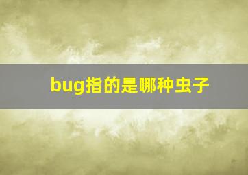 bug指的是哪种虫子