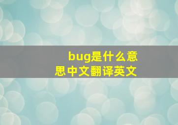 bug是什么意思中文翻译英文