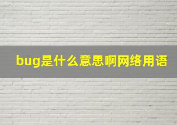 bug是什么意思啊网络用语