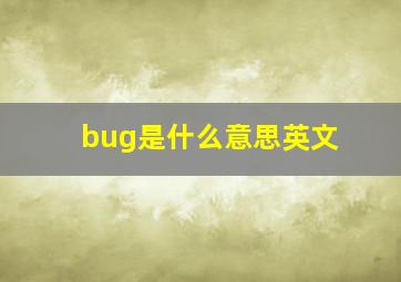 bug是什么意思英文