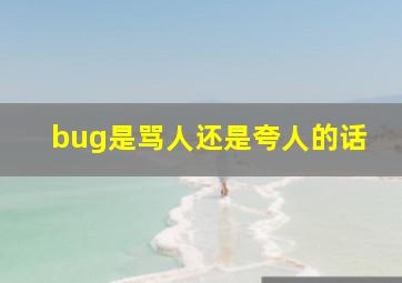 bug是骂人还是夸人的话