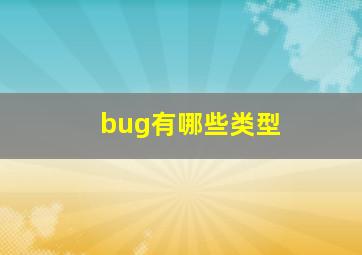 bug有哪些类型