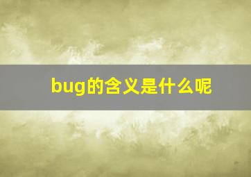 bug的含义是什么呢