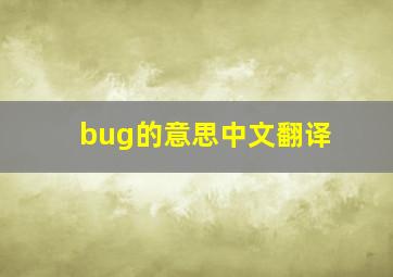 bug的意思中文翻译