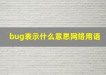 bug表示什么意思网络用语