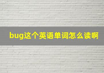 bug这个英语单词怎么读啊