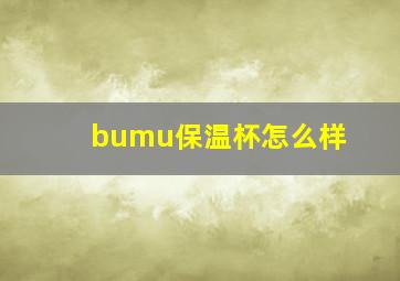 bumu保温杯怎么样