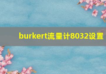 burkert流量计8032设置