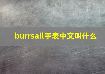 burrsail手表中文叫什么