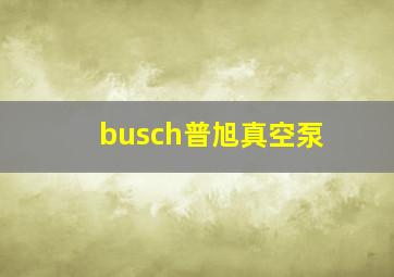 busch普旭真空泵