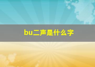 bu二声是什么字