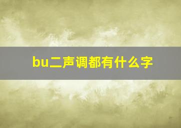 bu二声调都有什么字