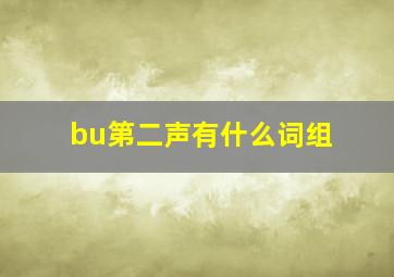 bu第二声有什么词组